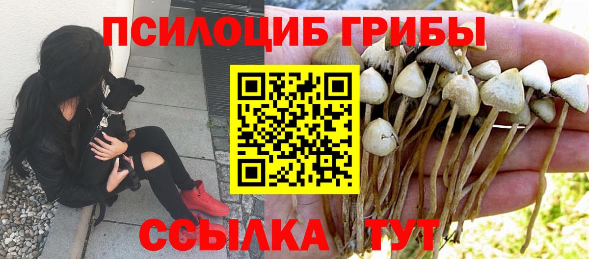 Галлюциногенные грибы мицелий  Галлюциногенные грибы Cubensis  Евпатория  Вход с VPN 